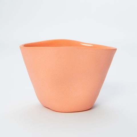 Concave - Recta - Roseate Nature