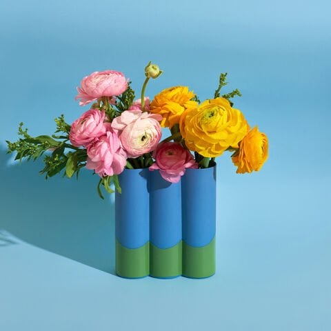 CALM 01 - Midnight Blue Pistachio