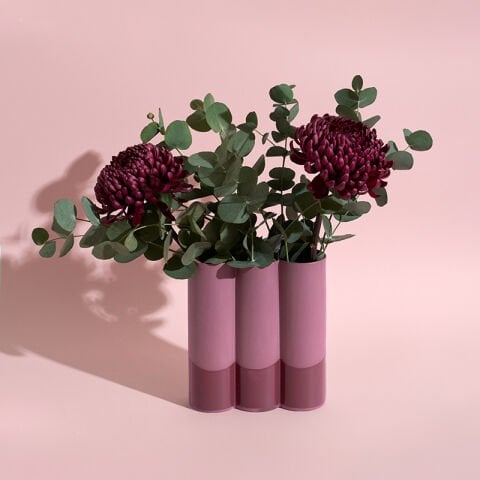 CALM 02 - Plum Merlot